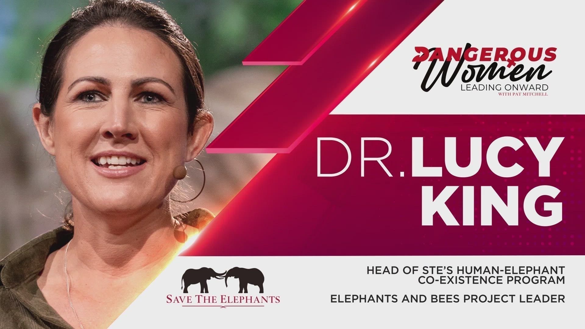 Dr. Lucy King, Elephants and Bees