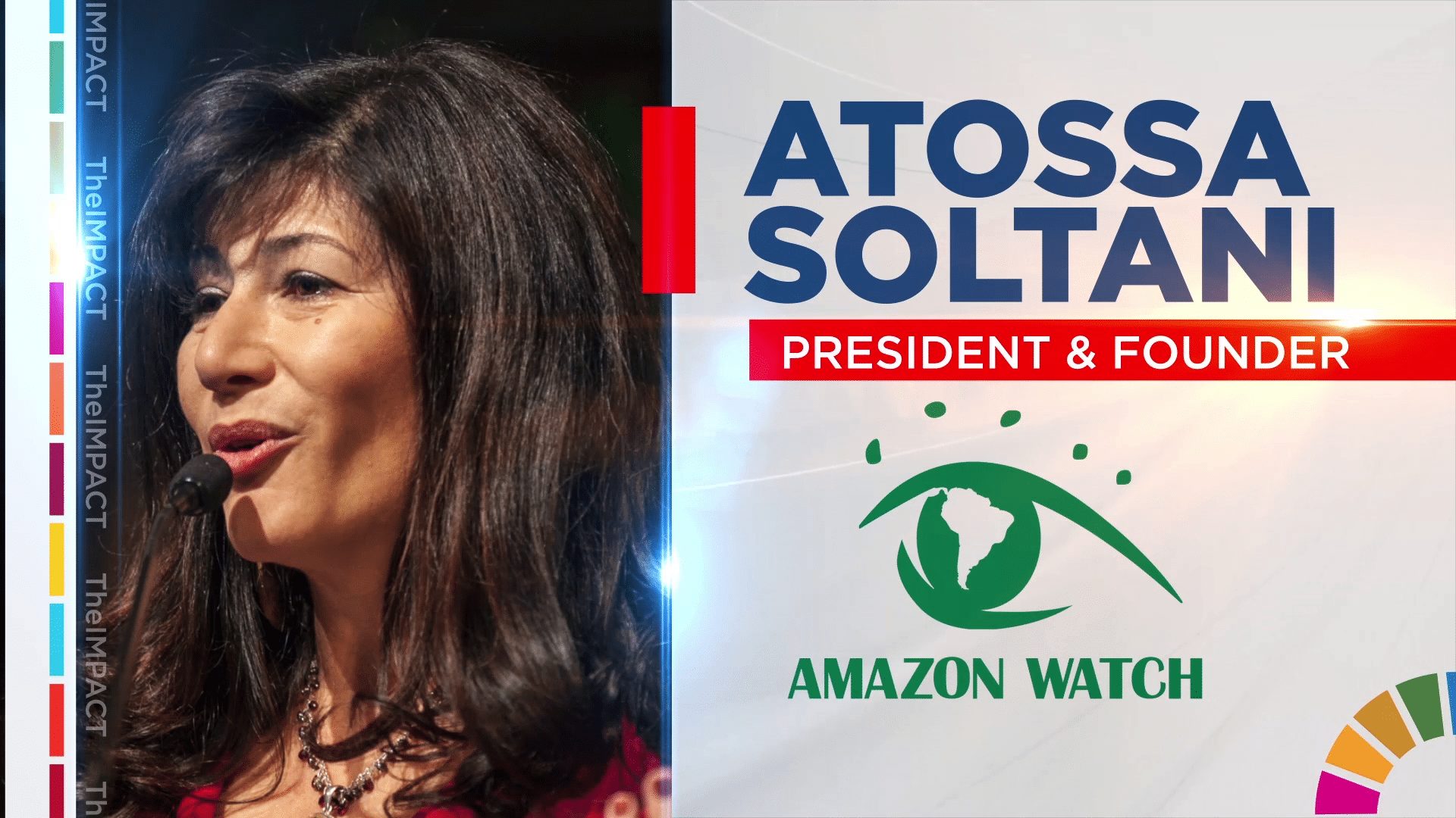 Protecting the Amazon Rainforest and Our Planet