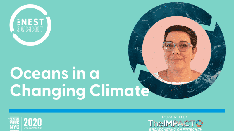 Oceans in a Changing Climate